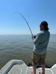 Person fishing in Theriot
