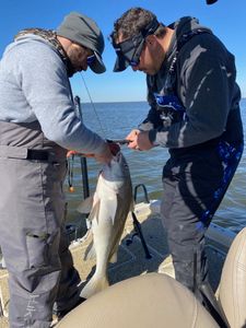 A fishing trip in LA