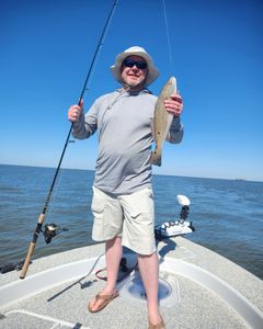 One person fishing in LA