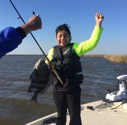 Sheepshead fish caught in Theriot