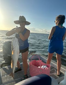 Fishing in Theriot