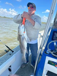 Angler with a large black drum fish caught in Theriot