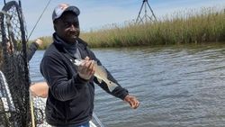 Spotter Seatrout in Apalachicola Bay