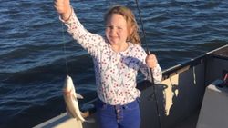 Spotter Seatrout in Apalachicola Bay