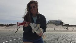 Black Drum fish caught while fishing in Apalachicola