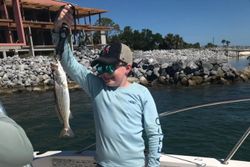 Spotted weakfish caught in Apalachicola