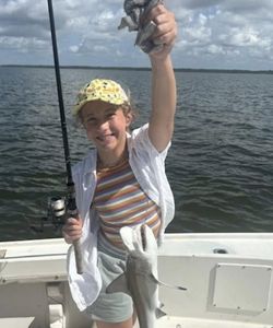 Blacktip Shark caught while fishing in FL