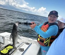 One blue catfish caught while fishing in FL