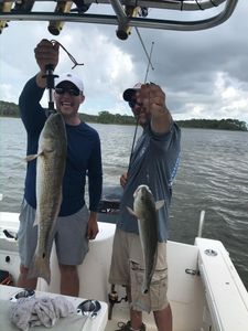 Redfish caught in FL