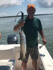 Photograph of a spotted weakfish measuring 18 inches, caught while fishing in Apalachicola