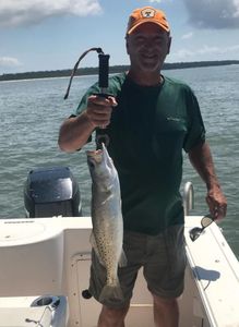 Spotted Weakfish, 17-inch fish caught while fishing in FL