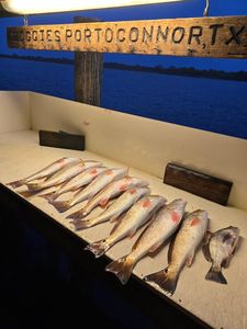 Living the fishing life at POC
