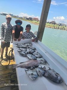 3 African Pompano fish caught while fishing in Point Comfort