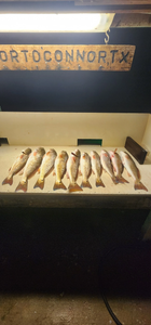 4 redfish caught in TX