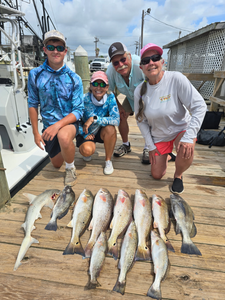 Image of 10 redfish, bonnethead shark, black drum, and spotted weakfish caught in TX