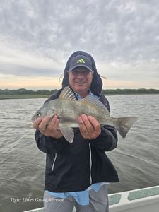 Black drum fish catch from Point Comfort TX fishing trip