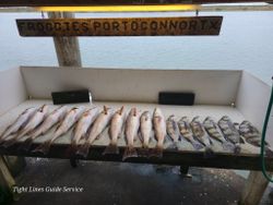 Fishing catch display showing redfish and black drum arranged on boat cleaning station at Point Comfort TX