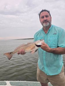 Redfish catch from Point Comfort TX fishing trip
