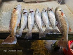 Fresh caught redfish and speckled trout displayed on fishing boat deck in Point Comfort TX