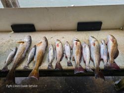 Fresh caught redfish and speckled trout displayed on boat deck at Point Comfort TX