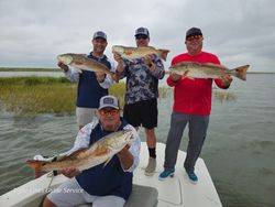 4 redfish caught in TX