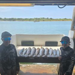 7 Redfish caught in Point Comfort