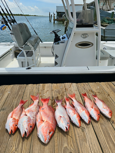 Seven fish caught at Point Comfort