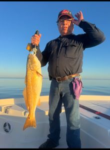 Redfish caught while fishing in Port Arthur TX