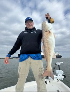 Large redfish caught while fishing in Port Arthur TX waters