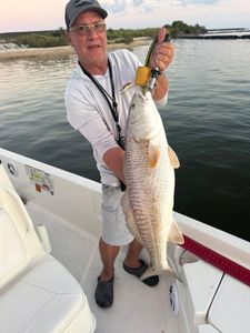 Large redfish caught while fishing in Port Arthur TX waters from boat
