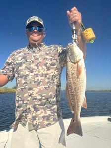 Redfish catch displayed on boat in Port Arthur TX waters