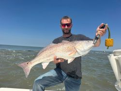 Large redfish caught while fishing in Port Arthur TX waters