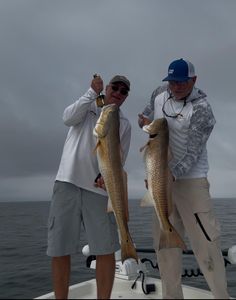 Two large redfish caught while fishing in Port Arthur TX waters
