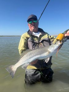 Angler holding caught speckled trout while wade fishing in shallow water near Port Arthur TX