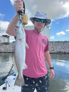 Speckled trout caught fishing in Port Arthur TX waters held up on boat
