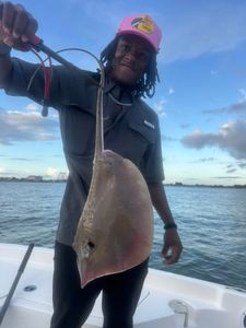 Large stingray catch displayed on fishing boat in Port Arthur TX waters