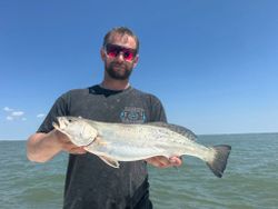 Speckled trout fishing catch in Port Arthur TX coastal waters