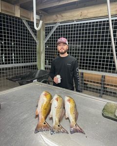 3 fishing in matagorda