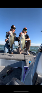 Two largemouth bass caught at O.H. Ivie Lake