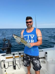 Fishing adventure in NY