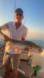 Fishing in Dunkirk - Best, great