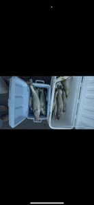 Scenic view of the New York skyline from a boat