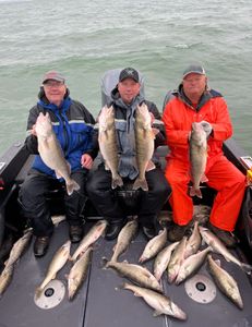 9 largemouth bass, pike-perch, and walleye caught in OH