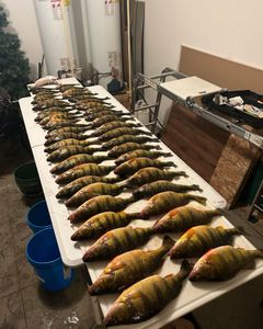 Fishing adventure in OH