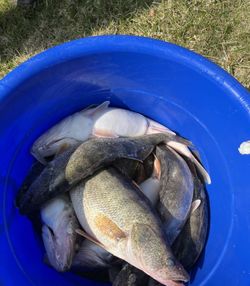 Fishing adventure in OH