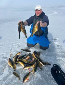 Five 14-inch fish caught while fishing at Lakeside Marblehead