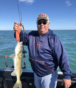 Pike-Perch caught in OH