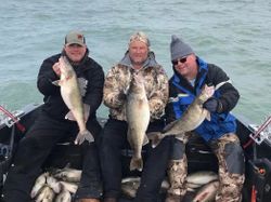 Three pike-perch fishing in OH