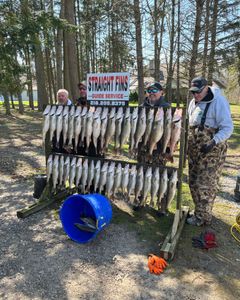 Three big fish caught while fishing at lakeside in Marblehead
