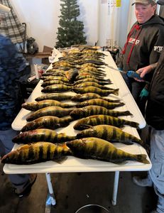 2 fish caught in OH while fishing